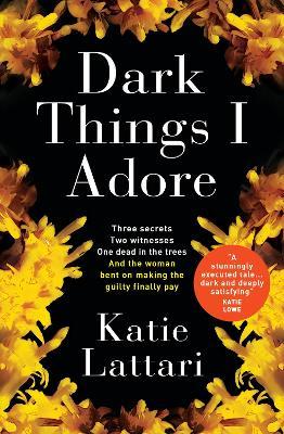 Dark Things I Adore - Katie Lattari - cover