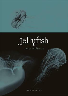 Jellyfish - Peter Williams - cover