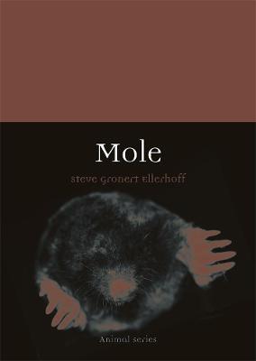 Mole - Steve Gronert Ellerhoff - cover