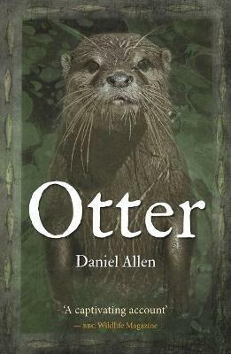 Otter - Daniel Allen - cover