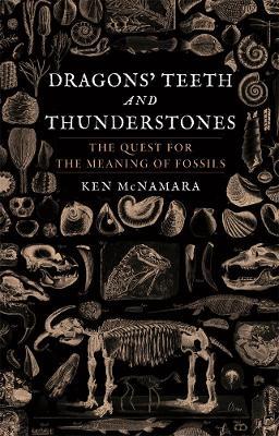 Dragons' Teeth and Thunderstones: The Quest for the Meaning of Fossils - Kenneth J. McNamara - cover