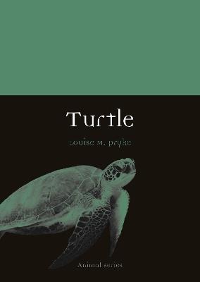 Turtle - Louise M. Pryke - cover
