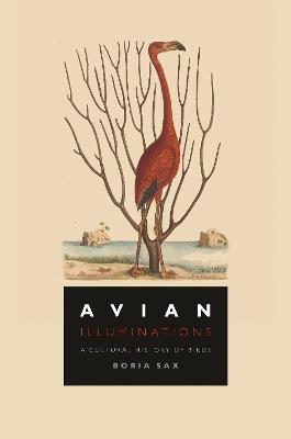 Avian Illuminations: A Cultural History of Birds - Boria Sax - cover