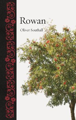 Rowan - Oliver Southall - cover