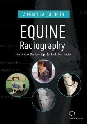 A Practical Guide to Equine Radiography - Gabriel Manso Díaz,Javier López San Román,Renate Weller - cover