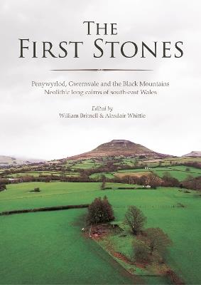 The First Stones: Penywyrlod, Gwernvale and the Black Mountains Neolithic Long Cairns of South-East Wales - cover