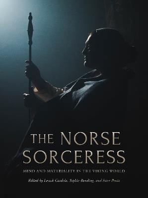 The Norse Sorceress: Mind and Materiality in the Viking World - cover