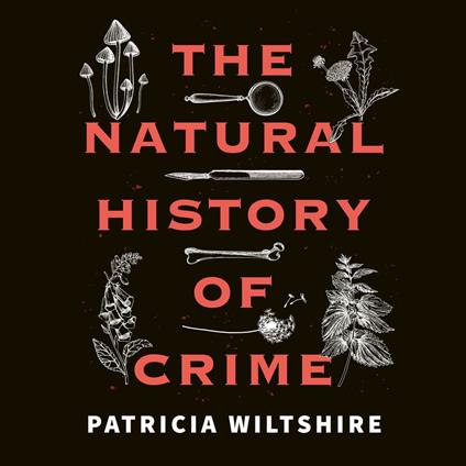 The Natural History of Crime