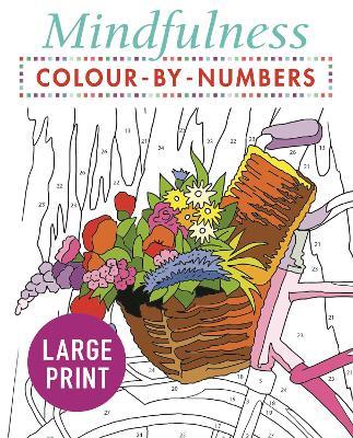 Mindfulness Colour-by-Numbers Large Print - Arcturus Publishing Limited - cover