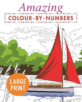 Amazing Colour-by-Numbers Large Print - Arcturus Publishing Limited - cover