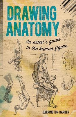 Drawing Anatomy: An Artist's Guide to the Human Figure - Barrington Barber - cover