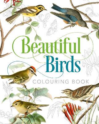 Beautiful Birds Colouring Book - Peter Gray - cover