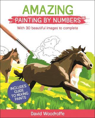 Amazing Painting by Numbers: With 30 Beautiful Images to Complete. Includes Guide to Mixing Paints - David Woodroffe - cover