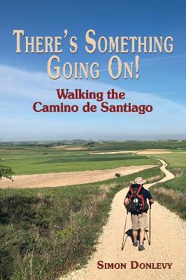 There's something going on!: Walking the Camino de Santiago - Simon Donlevy,Lisa Donlevy - cover