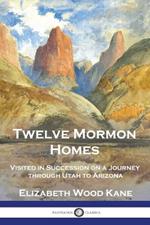 Twelve Mormon Homes: Visited in Succession on a Journey through Utah to Arizona