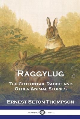 Raggylug: The Cottontail Rabbit and Other Animal Stories - Ernest Seton-Thompson - cover