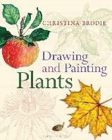 Drawing and Painting Plants - Christina Brodie - cover