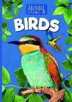 Birds - Charlie Ogden - cover