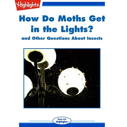 How Do Moths Get in the Lights?