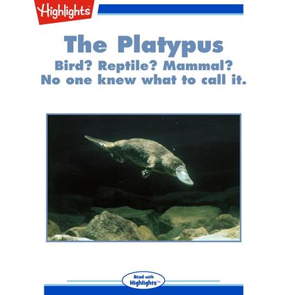 Platypus, The