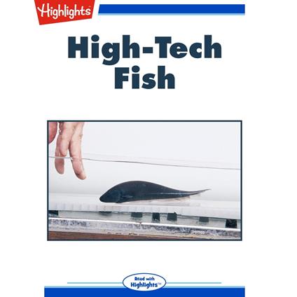 High-Tech Fish