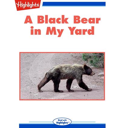 Black Bear in My Yard, A