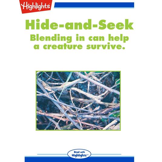 Hide-and-Seek