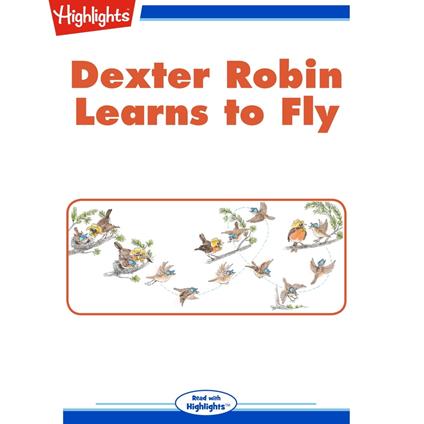 Dexter Robin Learns to Fly