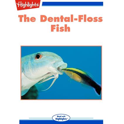 Dental-Floss Fish, The