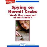 Spying on Hermit Crabs
