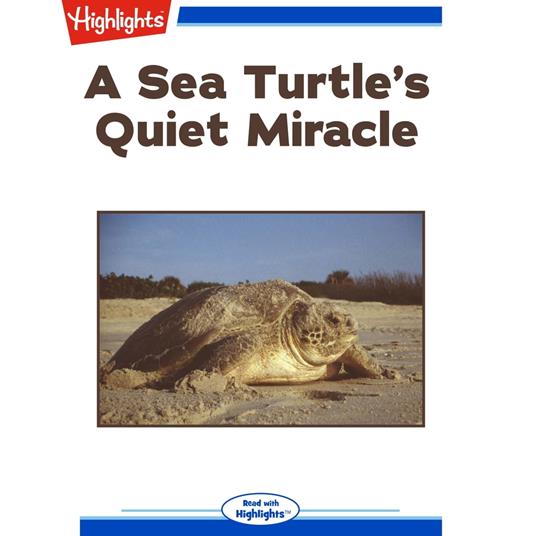 Sea Turtle's Quiet Miracle, A