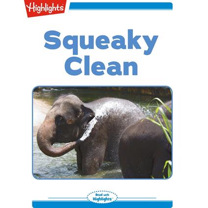 Squeaky Clean