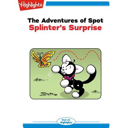 Splinter's Surprise