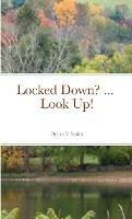 Locked Down? ... Look Up! - Debra V Smith - cover