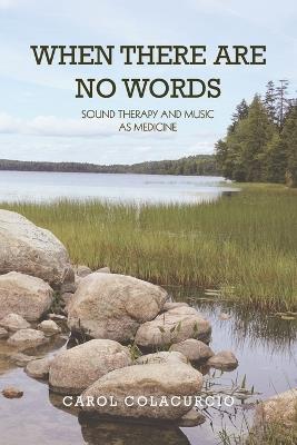 When There Are No Words: Sound Therapy and Music as Medicine - Carol Colacurcio - cover