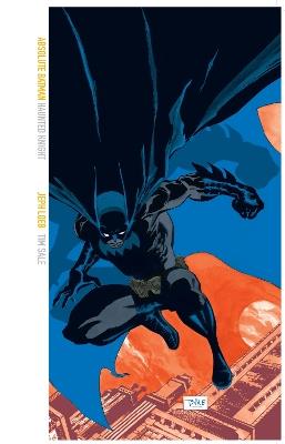 Absolute Batman: Haunted Knight - Jeph Loeb,Tim Sale - cover