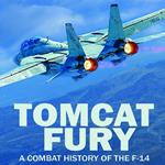 Tomcat Fury