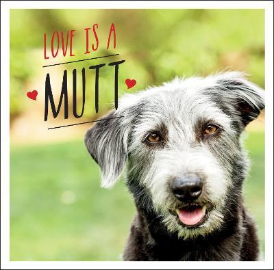 Love is a Mutt: A Dog-Tastic Celebration of the World's Cutest Mixed and Cross Breeds - Charlie Ellis - cover