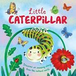 Nature Stories: Little Caterpillar: Padded Board Book