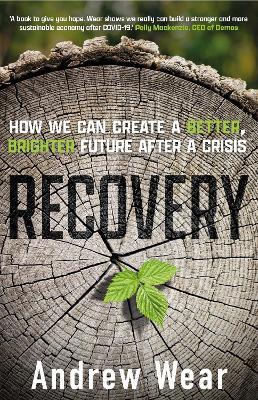 Recovery: How We Can Create a Better, Brighter Future after a Crisis - Andrew Wear - cover