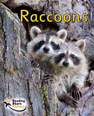 Raccoons: Phase 4 - Jill Atkins - cover
