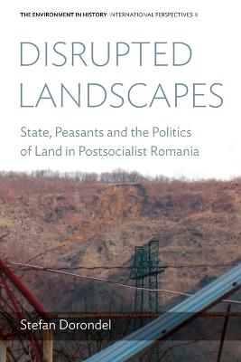 Disrupted Landscapes: State, Peasants and the Politics of Land in Postsocialist Romania - Stefan Dorondel - cover
