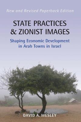 State Practices and Zionist Images: Shaping Economic Development in Arab Towns in Israel - David A. Wesley - cover