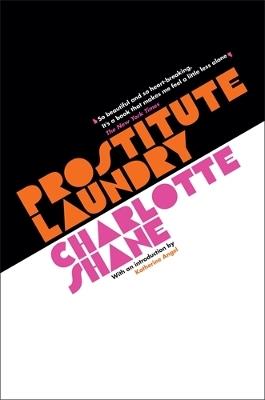 Prostitute Laundry - Charlotte Shane - cover
