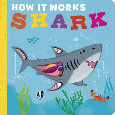 How it Works: Shark - Molly Littleboy - cover