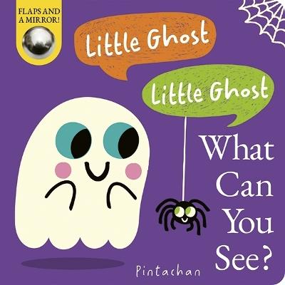 Little Ghost! Little Ghost! What Can You See? - Dee Costello - cover