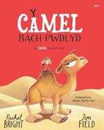 Y Camel Bach Pwdlyd / The Camel who had the hump