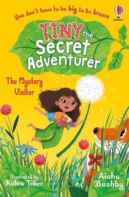 Tiny the Secret Adventurer: The Mystery Visitor - Aisha Bushby - cover