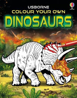 Colour Your Own Dinosaurs - Sam Gong Studios - cover