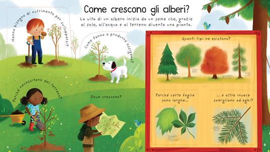 Perché gli alberi sono necessari? Ediz. illustrata - Katie Daynes - 2